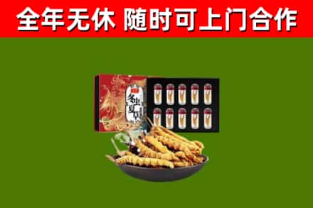 平阳回收冬虫夏草价格